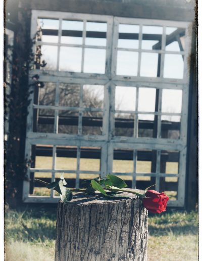 A single red rose placed on a wooden stump in front of a weathered window frame structure.