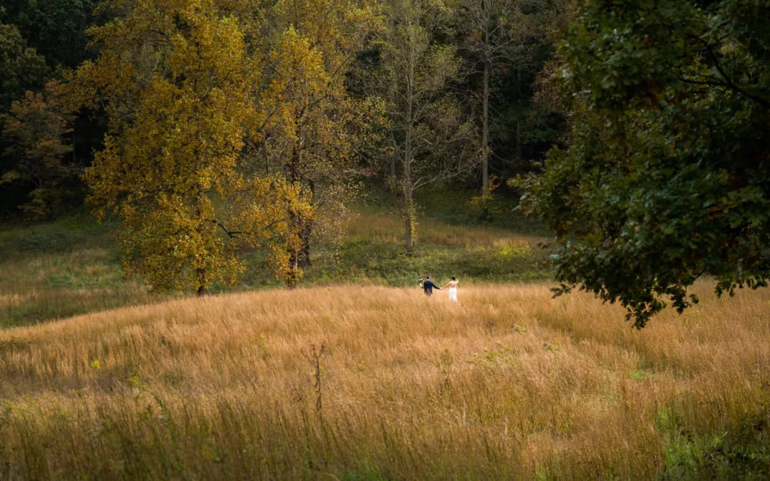 A couple walking hand in hand through a grassy field surrounded by trees during autumn.